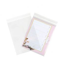 Plastic Zakken 22,9x30,5cm Transparant en Hersluitbaar (250 stuks) [VL912]