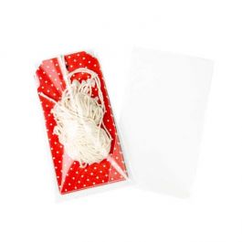Plastic Zakken 7,6x13cm Transparant (100 stuks) [B3X5SNF]