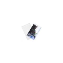 Plastic Zakken 29,1x43,8cm Transparant en Hersluitbaar (100 stuks) [B1117]