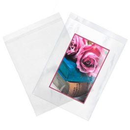 Plastic Zakken 46,8x61,6cm Transparant en Hersluitbaar (100 stuks) [B18PC]