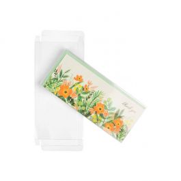 Plastic Doosjes 10,8x1,6x24,3cm Kristalhelder (25 stuks) [FB19]