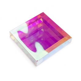 Plastic Doosjes 13x2,5x12,9 cm Iridescent (25 stuks) [FB47I]