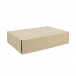 Verzenddozen Graskarton 22,5x15x9cm (50 stuks) [FP-VPD254]