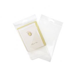 Headerbags 12,4x15,2cm Hersluitbaar en Kristalhelder (100 stuks) [HB5B1]