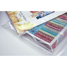 Plastic Zakken 15x25 cm PE (100 stuks) [PE2610]