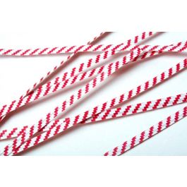 Bindstrips 10,2x0,4cm Papier Wit/Rood gestreept (1000 stuks) [TT4WRS]