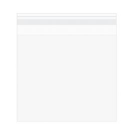 Plastic Zakken 14,5x12,7cm Transparant en Hersluitbaar (100 stuks) [B53Q5]