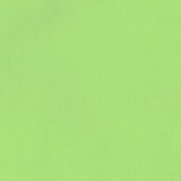 Wit kraft inpakpapier op rol Lichtgroen 50cm breed (1 st.) [FP-IO1475]