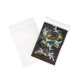 Plastic Zakken 21.3x30.3cm Transparant en Hersluitbaar (100 stuks) [KO-30159]