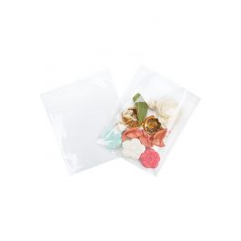 Plastic Zakken 16x15.5cm Transparant en Hersluitbaar (100 stuks) [KO-30169]