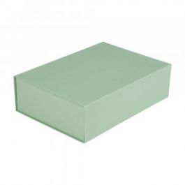 Magneetdozen 23x23x11cm Mintgroen (25 st.) [FP-VPD128]