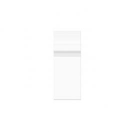 Plastic Zakken 21,9x59,7cm Transparant en Hersluitbaar (100 stuks) [B823PC]