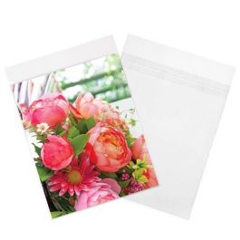 Plastic Zakken 21,4x22,7cm Transparant en Hersluitbaar (100 stuks) [B108SPC]