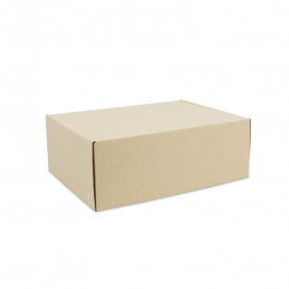 Verzenddozen Graskarton 39x30x14cm (50 stuks) [FP-VPD257]