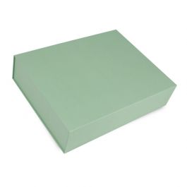 Magneetdozen 42,5x33,3x9,7cm Mintgroen (25 st.) [FP-VPD130]